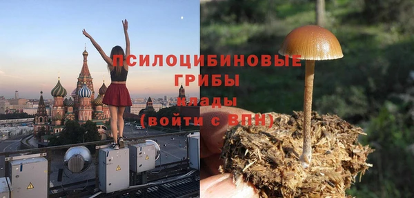 2c-b Алзамай