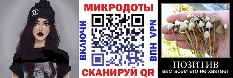Галлюциногенные грибы прущие грибы  Норильск 